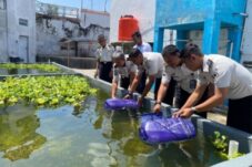 Dukung 15 Program Aksi Kemenimipas, Lapas Brebes Kembangkan Budidaya Lele