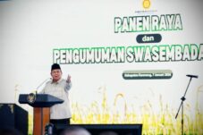 Prabowo Umumkan Swasembada Beras Indonesia Tercapai Lebih Cepat