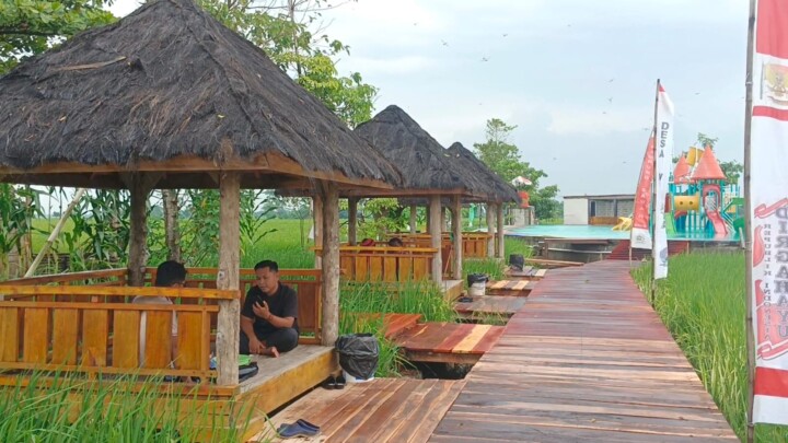 Pemdes Kubangjero Sulap Tanah Kas Desa Jadi Wisata Kampoeng Sawah