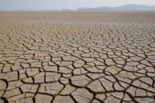 Hadapi Ancaman Godzilla El Nino 2026, Pemerintah Perkuat Cadangan Pangan Nasional