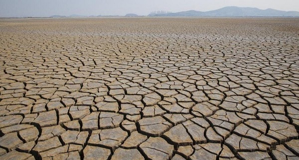 Hadapi Ancaman Godzilla El Nino 2026, Pemerintah Perkuat Cadangan Pangan Nasional