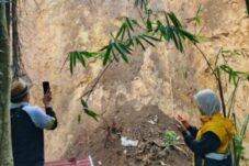 Longsor Hebat Guncang Brebes Selatan: Akses Jalan Terputus, Bupati Pastikan Penanganan Cepat