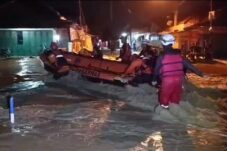 Banjir Bandang Brebes Terjang 6 Desa, Ribuan Rumah Terendam dan Ternak Warga Hanyut