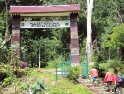 Destinasi Wisata Indonesia Terpopuler