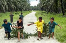 SDM Jadi Penentu Masa Depan Industri Sawit Nasional