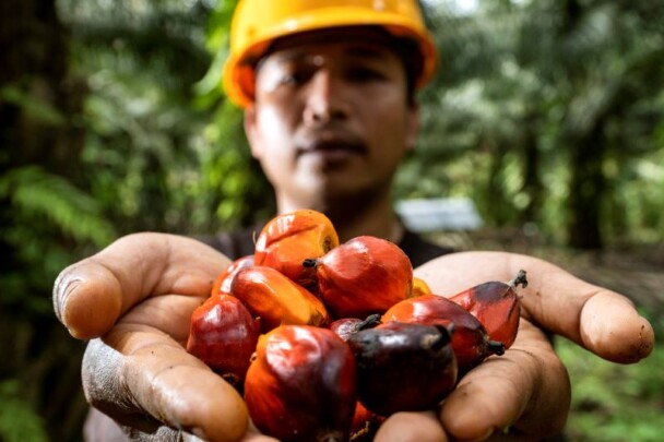 PASPI Apresiasi Komitmen BPDP di Riset Kelapa Sawit