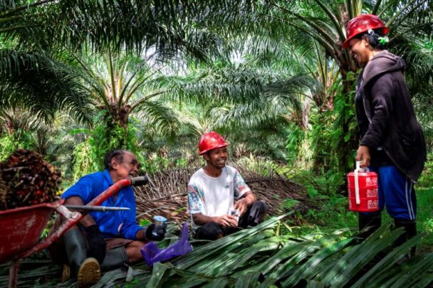 GAPKI Tegaskan Komitmen Industri Sawit pada Kesetaraan Gender