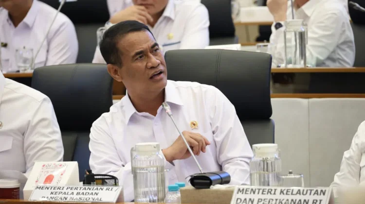 El Nino Mengintai, Pemerintah Jaga Ketat Harga Pangan demi Ketahanan Negara