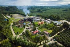 Industri Sawit Kian Hijau, Dari Serapan Tenaga Kerja hingga Penyerapan Karbon
