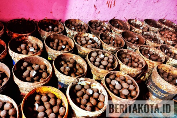 Telur bebek yang telah dibalut adonan garam dan tanah liat disusun rapi dalam wadah untuk proses pengasinan. Tahapan ini menentukan cita rasa khas telur asin yang dihasilkan Edo di kiosnya yang terletak di daerah Tanah Tinggi Tangerang. Foto : Beritakota.id/Adang Sumarna