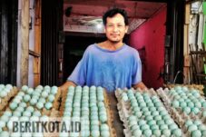 Gigih Sejak Kecil, Edo Kembangkan Usaha Telur Bebek di Tengah Tantangan Cuaca dan Harga Gas