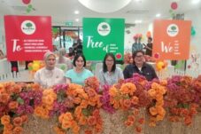 Daycare Jadi Sorotan, Apple Tree Pre-School Senayan Utamakan Keamanan dan Perlindungan Anak