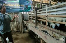 Dompet Dhuafa Berdayakan Peternak Domba di Semarang Lewat Program Jantara Jelang Iduladha