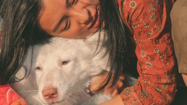 Review Film GOHAN; Ketika Anjing Menjadi Rumah bagi Manusia yang Kehilangan Arah