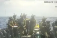 9 WNI Ditangkap Israel Dibebaskan, DPR: Kawal hingga Tiba dengan Selamat di Indonesia