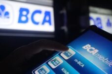 Sinyal Modal Berlimpah, BCA Tebar Dividen dan Buyback