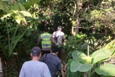 Dua Hari Pencarian Mbah Naruh di Hutan Brebes Belum Berhasil