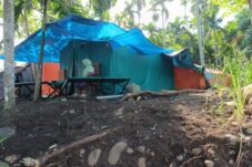 Dompet Dhuafa Salurkan Kurban untuk 800 Korban Banjir Bandang Aceh Utara