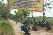 Kesal Jalan Tak Kunjung Diperbaiki, Warga Karangsambung Tanami Jalan Rusak dengan Pohon Pisang