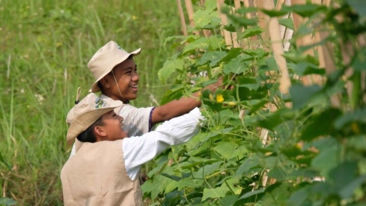 Belajar dari Alam, Cara Karabha Digdaya Hadirkan Pengalaman Baru bagi Anak Yatim