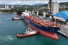 Pelindo Regional 2 Banten Perkuat Ekspor Baja Nasional, Pelabuhan Ciwandan Jadi Hub Logistik Strategis