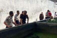Budidaya Jamur hingga Lele, Program Pembinaan Lapas Brebes Dapat Apresiasi Kajari
