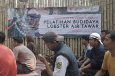 LPM Dompet Dhuafa Bekali Anak Muda Budidaya Lobster Air Tawar untuk Ciptakan Lapangan Kerja