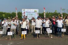 Abrasi Pantura Mengkhawatirkan, Menteri LH Ungkap 770 Ribu Hektare Mangrove Rusak