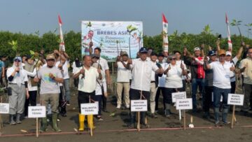Abrasi Pantura Mengkhawatirkan, Menteri LH Ungkap 770 Ribu Hektare Mangrove Rusak