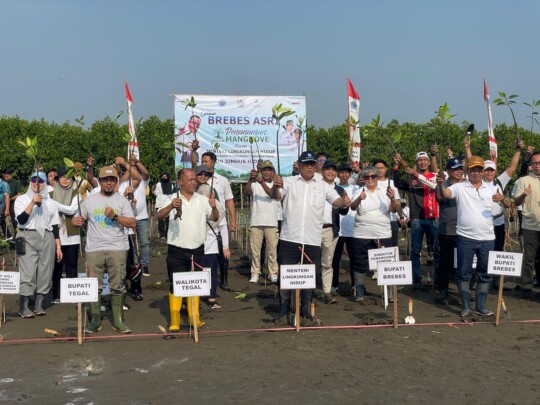 Abrasi Pantura Mengkhawatirkan, Menteri LH Ungkap 770 Ribu Hektare Mangrove Rusak