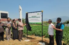 Perkuat Ketahanan Pangan, Dompet Dhuafa Resmikan Kebun Pangan Madaya