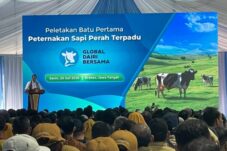 Mentan Amran Dorong Investasi Peternakan Skala Besar untuk Swasembada Susu, Brebes Jadi Basis Produksi Nasional